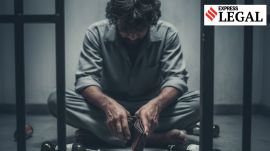 It was only the appellant who had killed his mother with the bothi dao and nobody else, said the Guahati High Court.