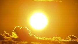 Experts weigh in on Vitamin D production