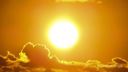 Experts weigh in on Vitamin D production