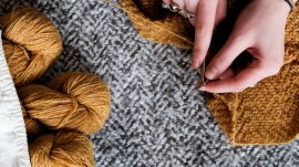 Top 10 wool producing states in India