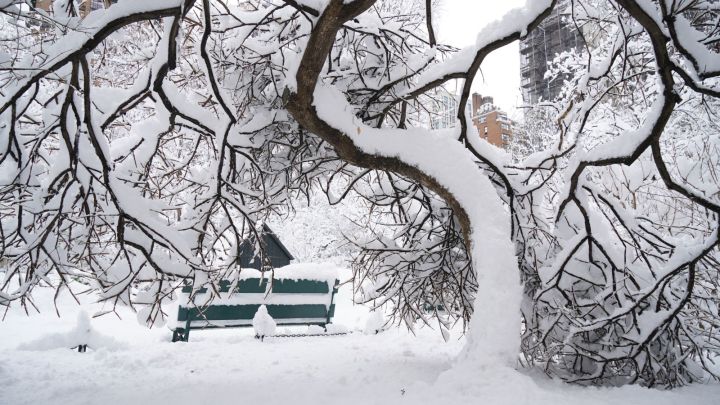 More than 5,000 flights cancelled as heavy snow hits US east coast, reports 3 Winter Weather New York