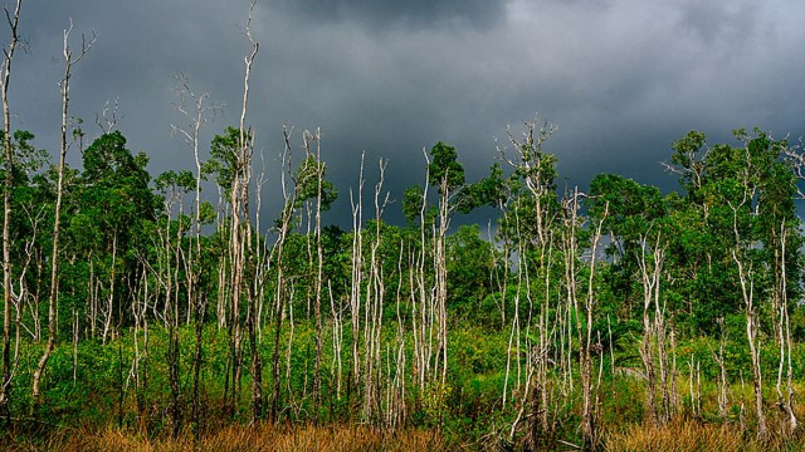 Under-the-radar national parks you need to visit
