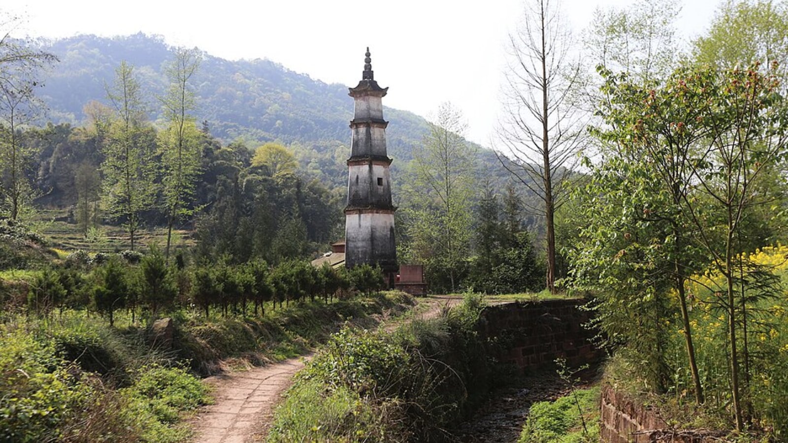 The most beautiful tea plantations to visit around the world