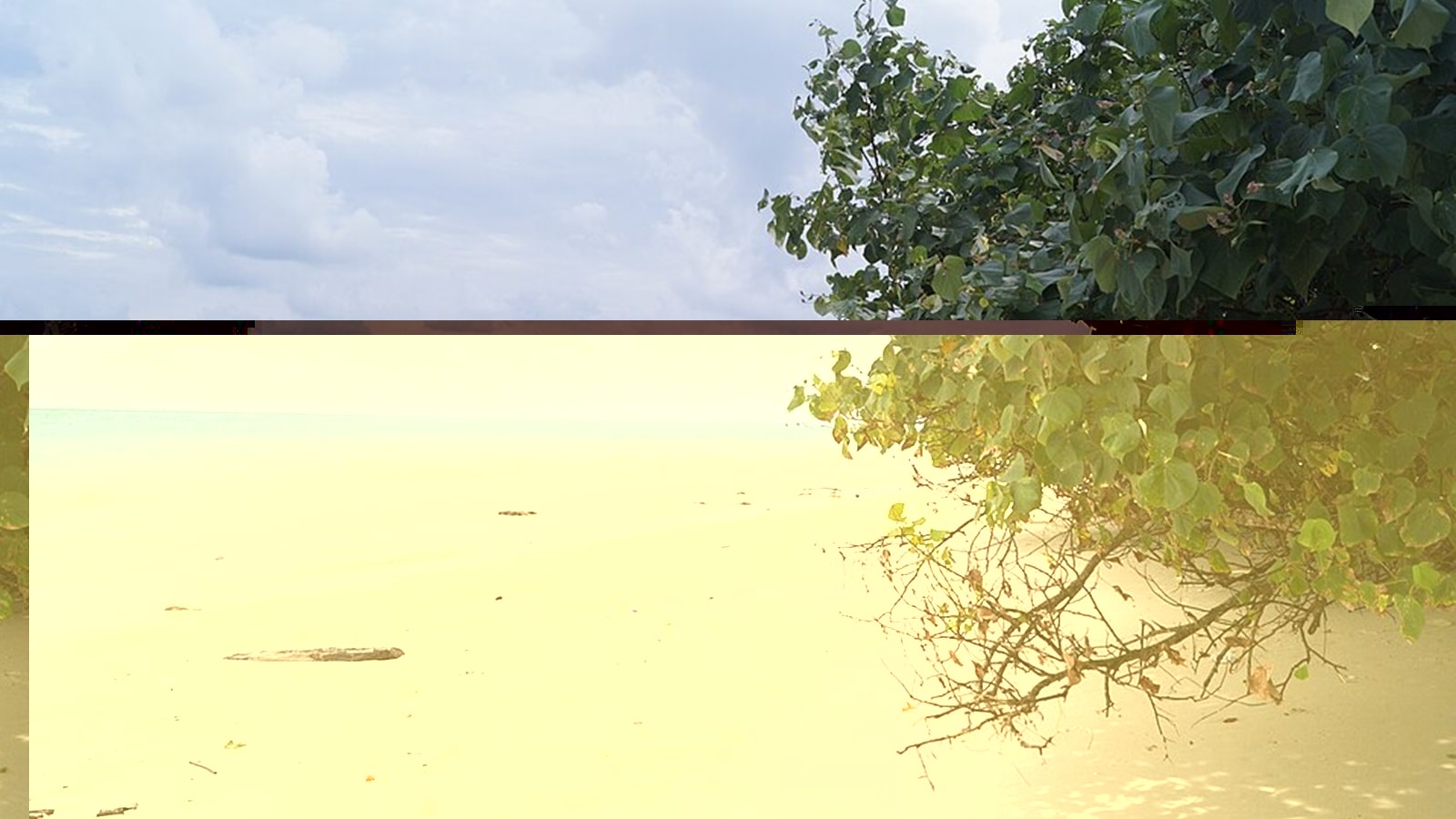 andaman and nicobar island