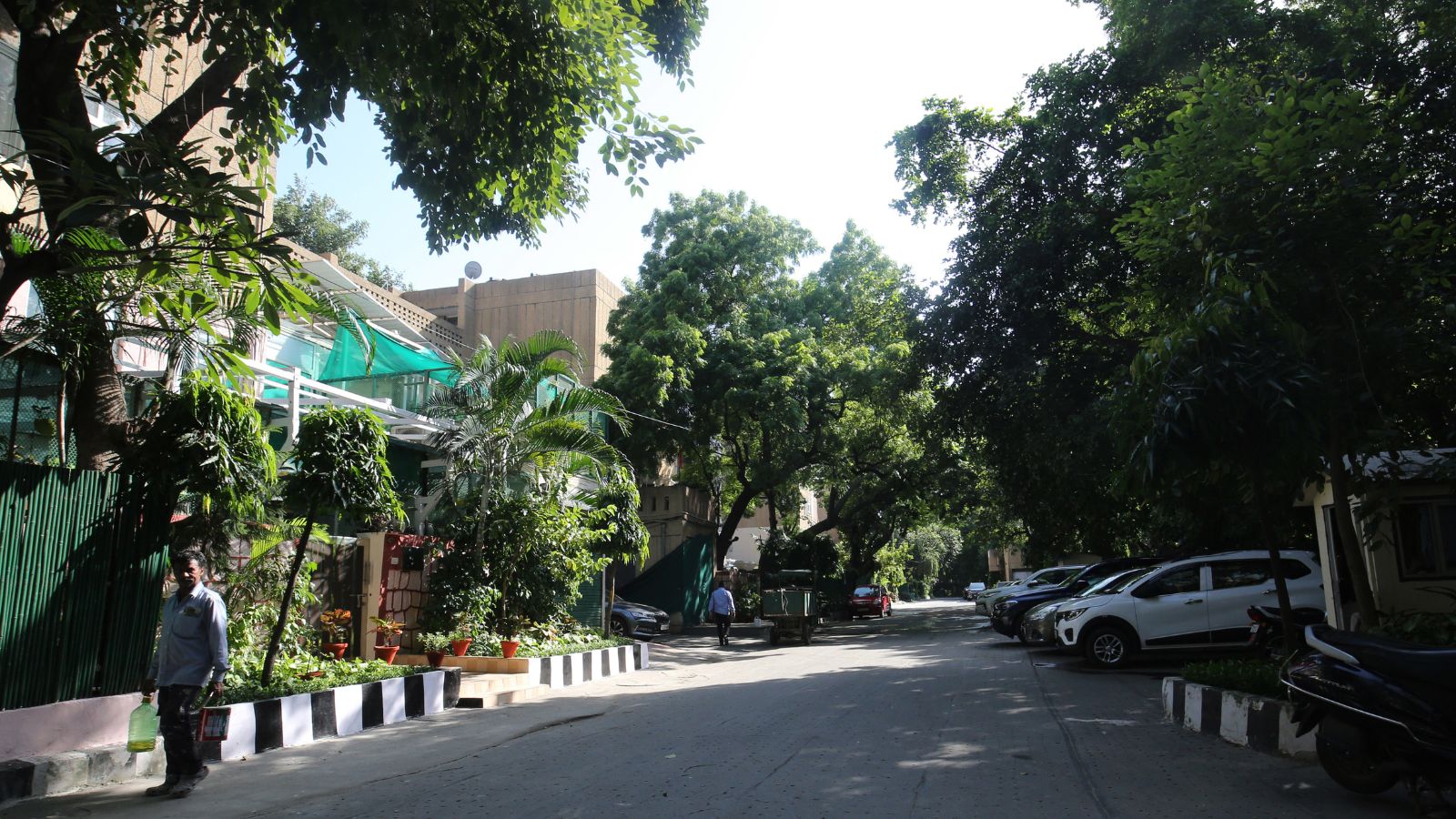 Delhi PWD to Hire Specialized Agencies for Roadside Green Spaces by March