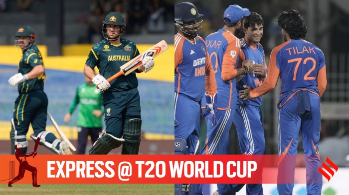 Before the match with Pakistan, India should study Australia's batting pattern in Premadasa