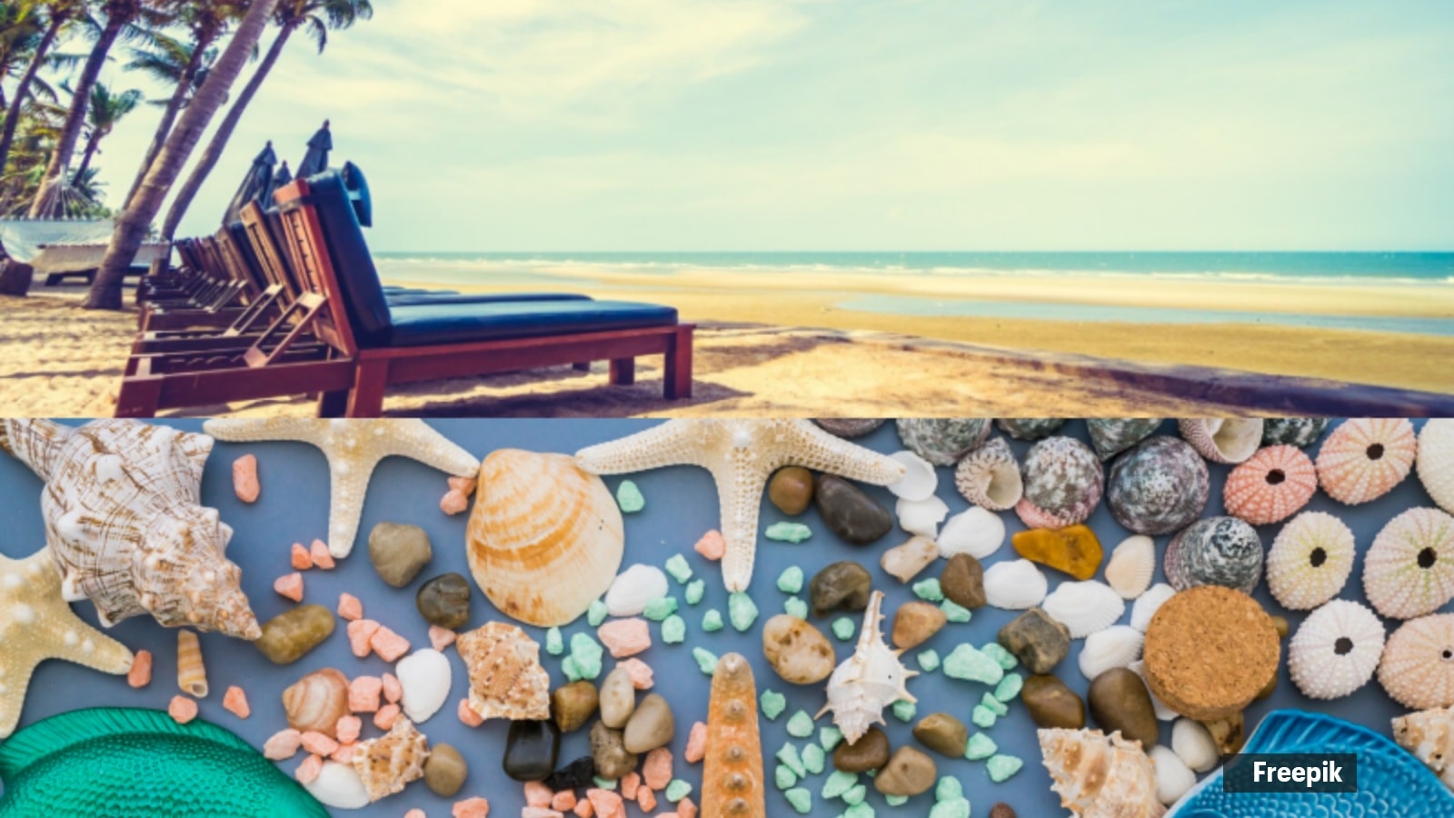 Sand, shells, and fines: The hidden legal risks of bringing the beach home