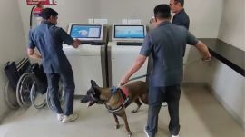 Pune passport office bomb hoax