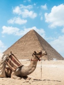 The Best Places to Visit in Cairo