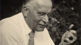carll jung