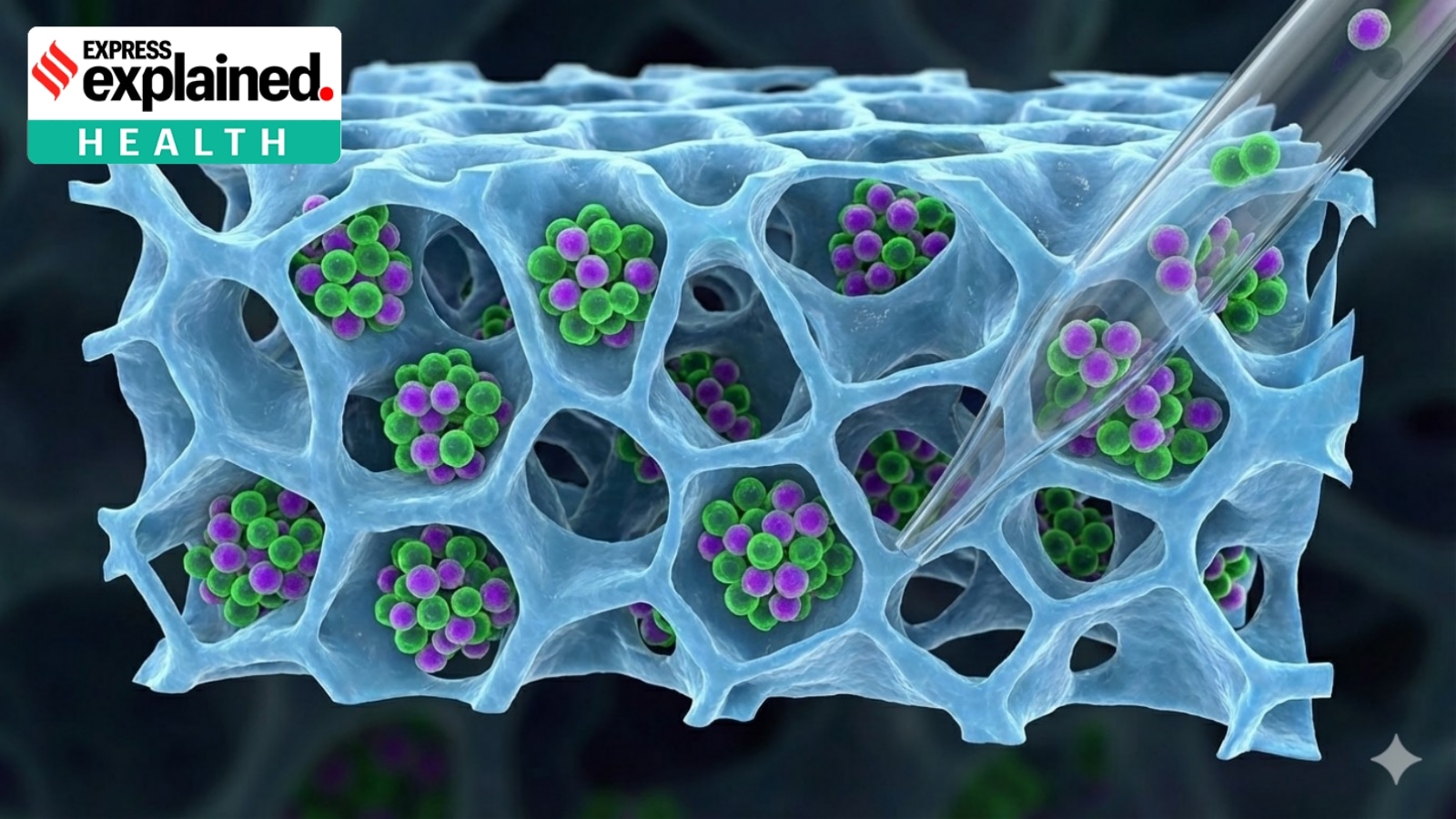 IIT Bombay's Breakthrough: Gentler Cell Recovery Boosts Cancer Immunotherapy