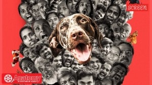 What makes Rajesh Madhavan's Pennum Porattum impactful is its use of absurdism and chaotic comedy to address significant topics, giving it far more weight than a mere dramatic treatment could.