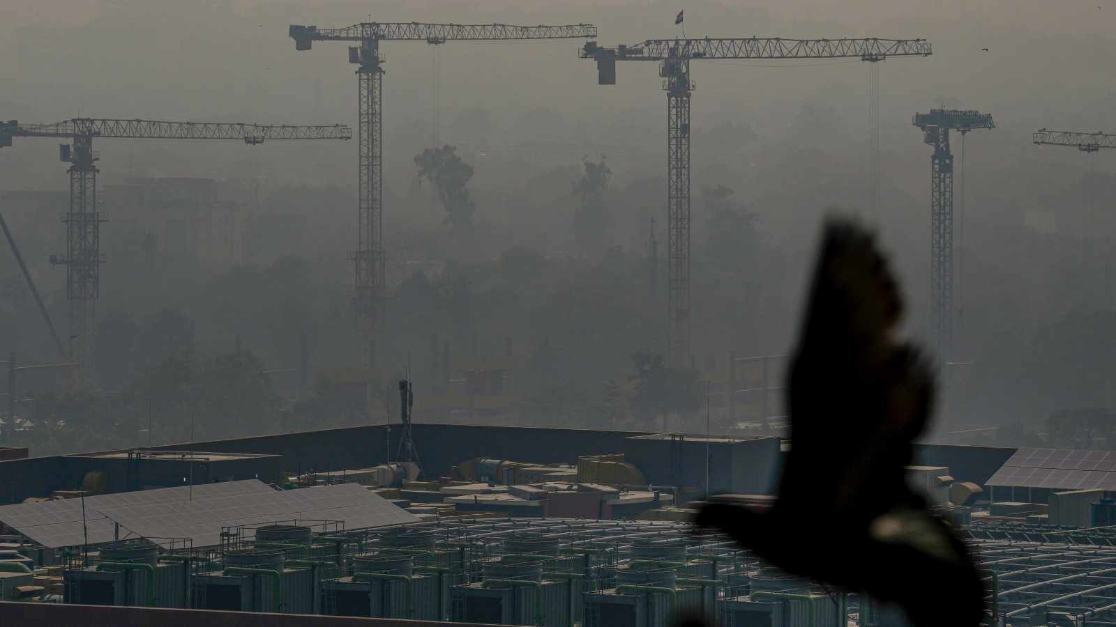 Delhi Records Early Warm Nights at 13.2°C, AQI Drops to 'Very Poor'