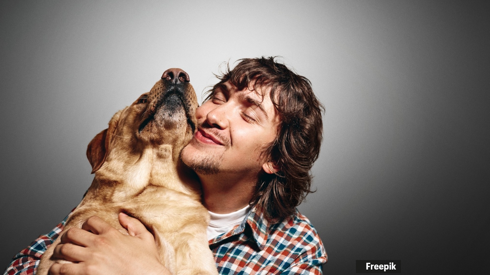 Why does your dog lick?