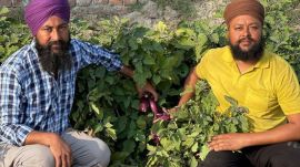 Farmer Chirmal Singh Sekhon and his brother Jagtar Singh Sekhon at their farm. (Express Photo)