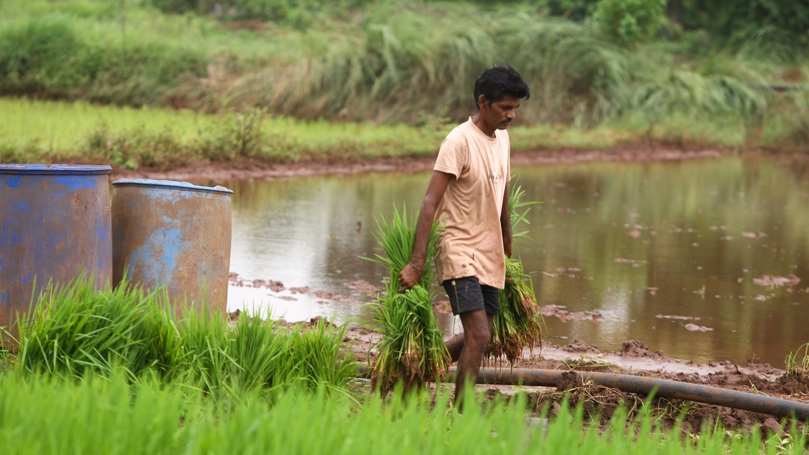 Finance Minister has bypassed large parts of farm sector