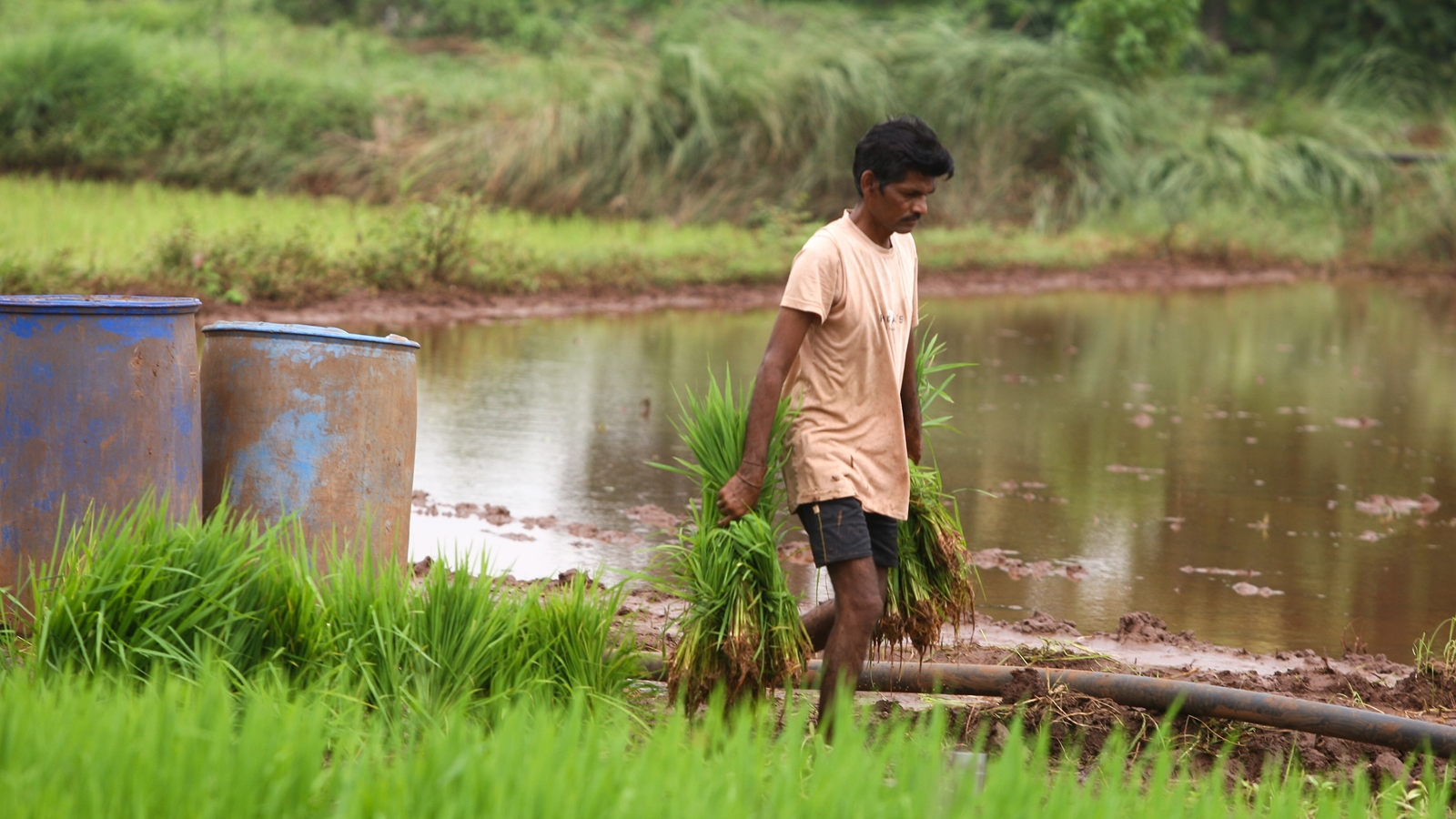 Farmers' Outcry Over India-US Trade Deal: Zero Tariff Fears Spark Protests