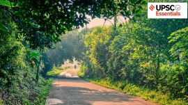 forest India, deforestation