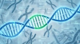 If genes played a minor role, it was assumed that lifestyle played a major one