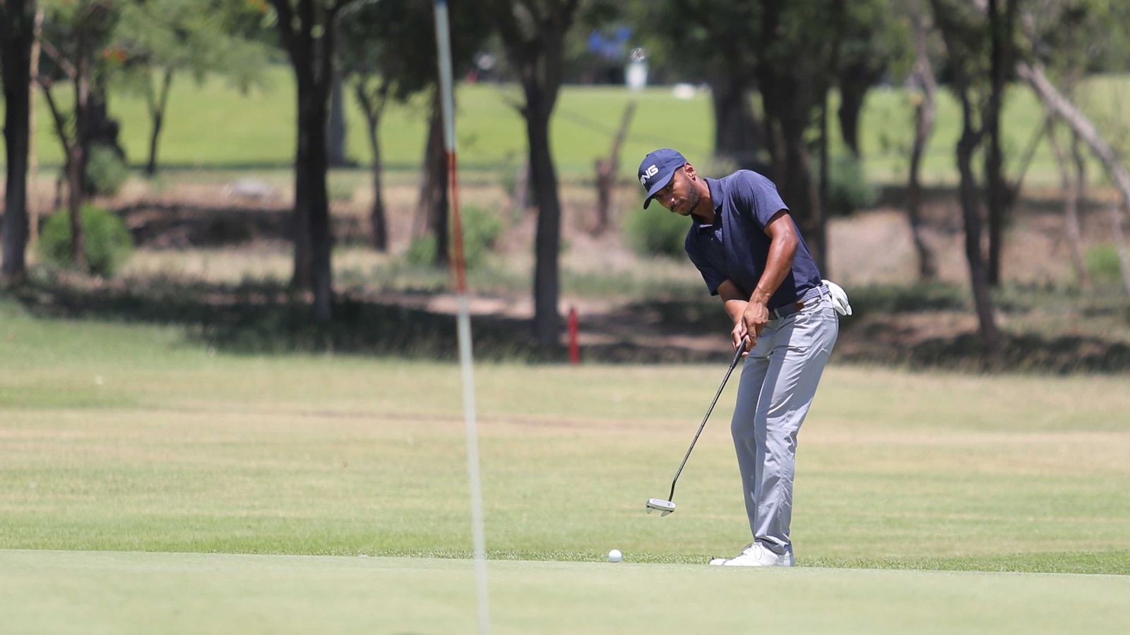 Panchkula Golf League Season 2 Tees Off with Enhanced Format and 256 Players