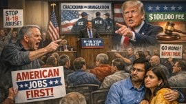 h-1b visa, us indian american