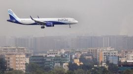 Indigo pune flight