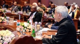 Arab League, India-Arab League Foreign Ministers’ Meeting, Middle East, Middle East peace talks, S. Jaishankar, Indian express news, current affairs