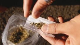 marijuana represenational