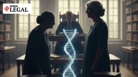 maternity dispute property row Rajasthan High Court