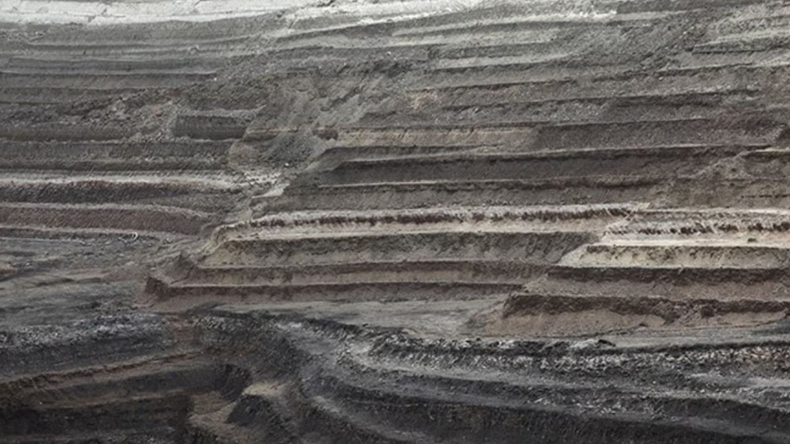 indianexpress.com - Express News Service - Budget Session | 76 of 107 mining leases in Bhemal operational, 31 closed: Minister in Gujarat Assembly