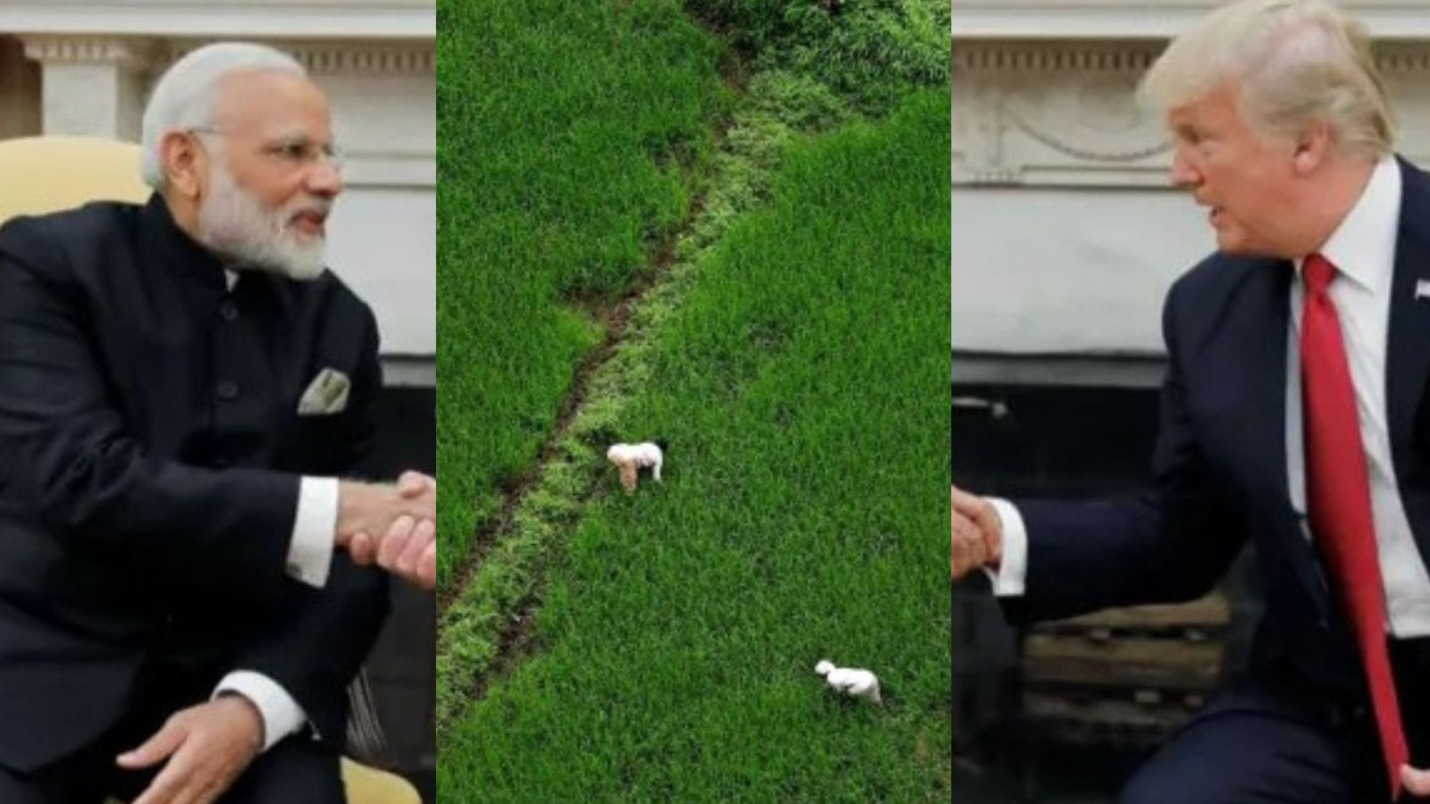 What India has really given on agriculture in India-US trade deal.