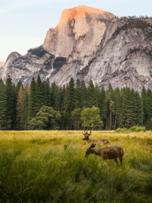 The Best Places on Earth to Reconnect with Nature