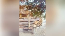 National Green Tribunal, NGT, environmental compensation,