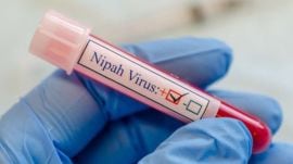 Nipah Kolkata nurse death