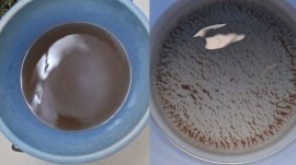 Noida Dirty water in taps, Dirty water in Noida taps, Dirty water in taps, Noida, Noida Sector 29, delhi news, India news, Indian express, current affairs