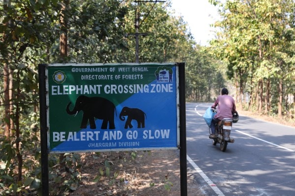 An Elephant crossing zone at Jhargram division (Express photo by Partha Paul)