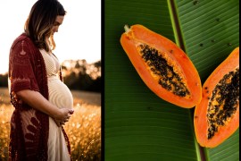 papaya