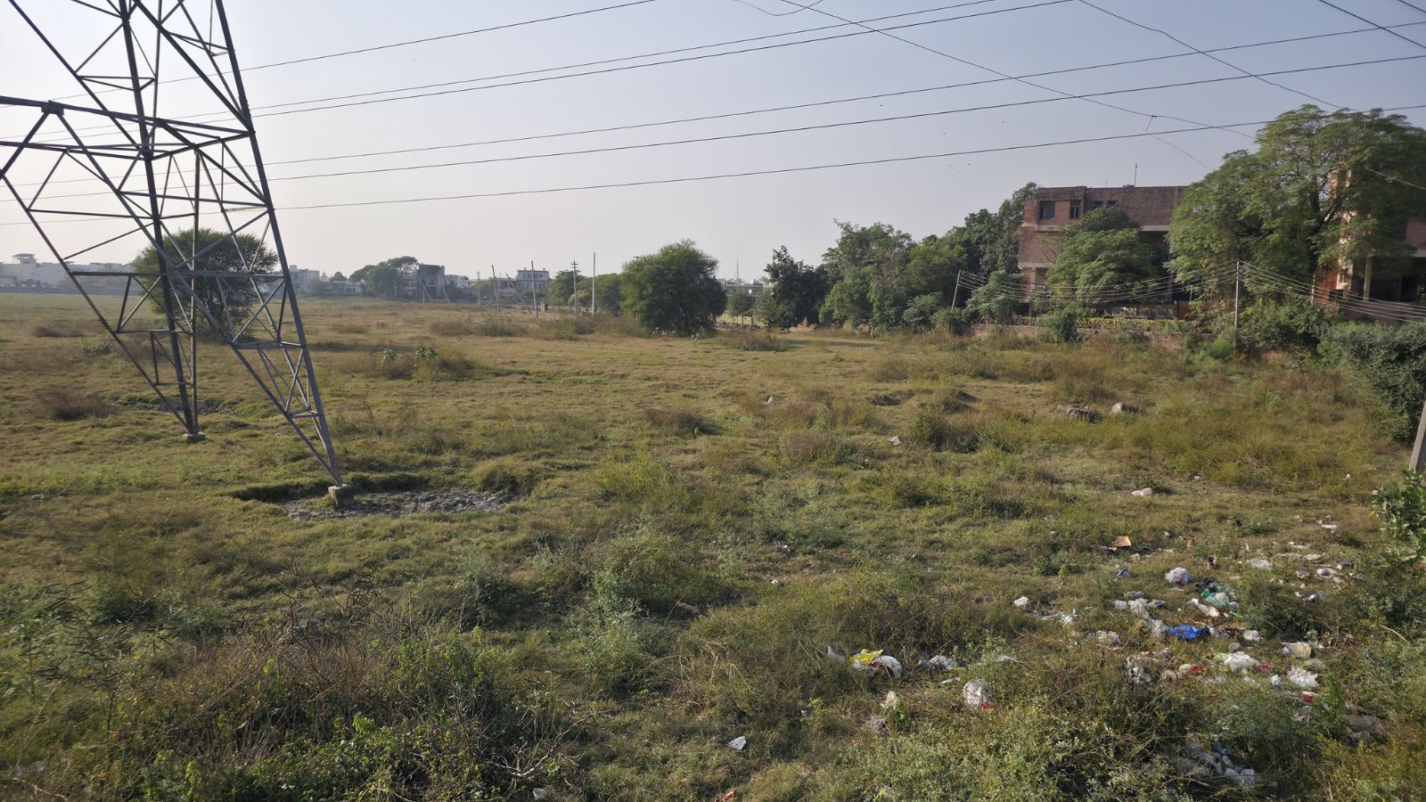 Employees cheer as Punjab and Haryana High Court halts sale of Punjab Power Corporation Land in Patiala