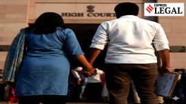 punjab and haryana high court live-in couple