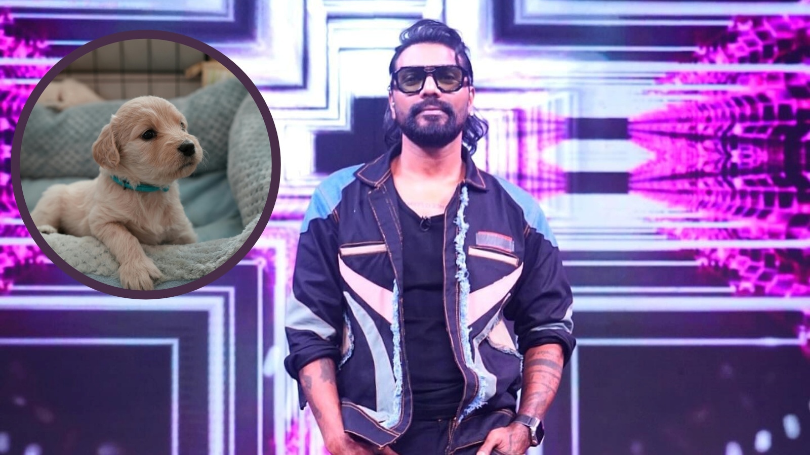 The time Remo D’Souza accidentally brought a wild animal home, mistaking it for a puppy The time Remo D’Souza accidentally brought a wild animal home, mistaking it for a puppy