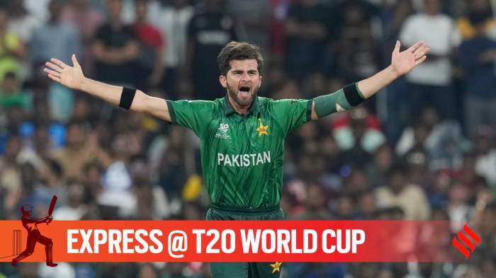 Another star player of Pakistan in Shaheen Shah Afridi is performing poorly.