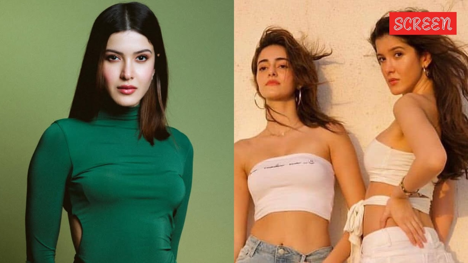 Ananya Panday asked BFF Shanaya Kapoor to ‘come back’ after ex-boyfriend cheated on her with 5 women during vacation