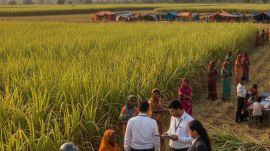 sugarcane migrant workers AI generated image