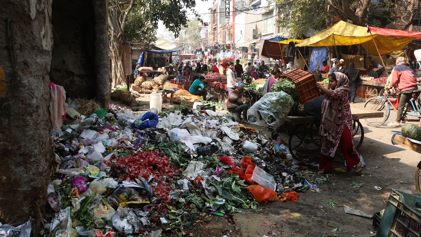 (Express Photo by Gajendra Yadav)