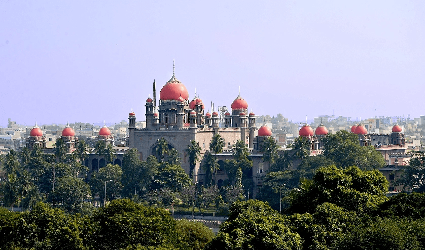 Telangana HC seeks report on trafficked 2-year-old after adoptive parents seek custody