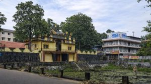 A devotee named Sanil Narayanan Nampoothiri had approached the high court seeking action against authorities of the Sree Parthasarathy Temple in Adoor.