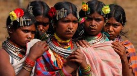household survey, wrap household survey by April-end, household survey by April-end, particularly vulnerable tribal groups, PVTGs, PVTG households, Indian express news, current affairs