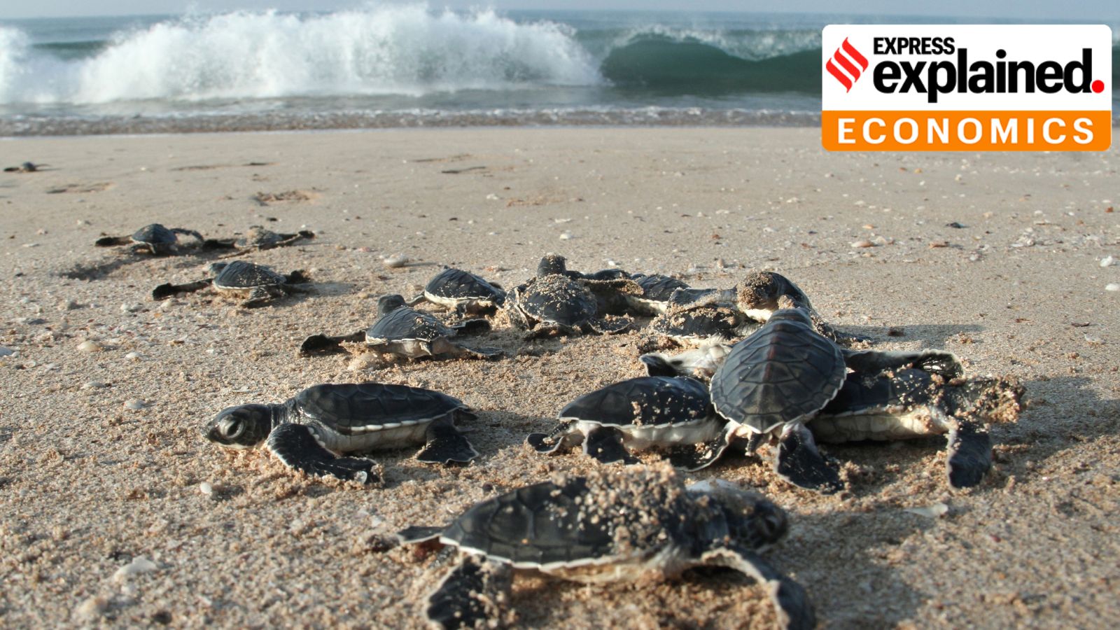 indianexpress.com - Union Budget 2026: Experiences, medical tourism, job creation part of big tourism push