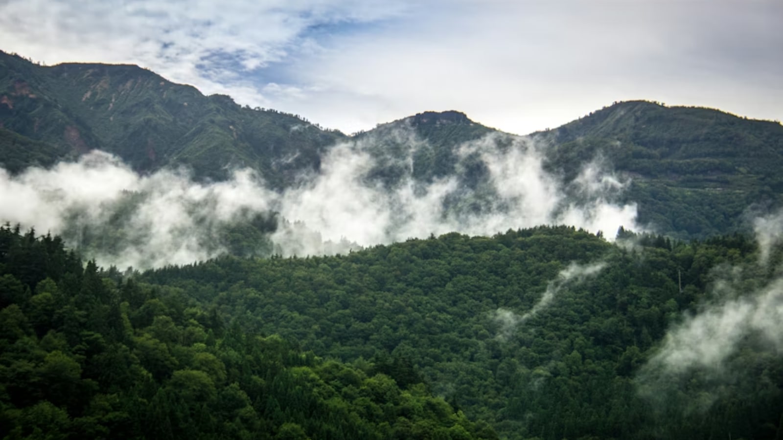 Post-facto green nod to 50 projects since 2021: Minister Vardhan Singh