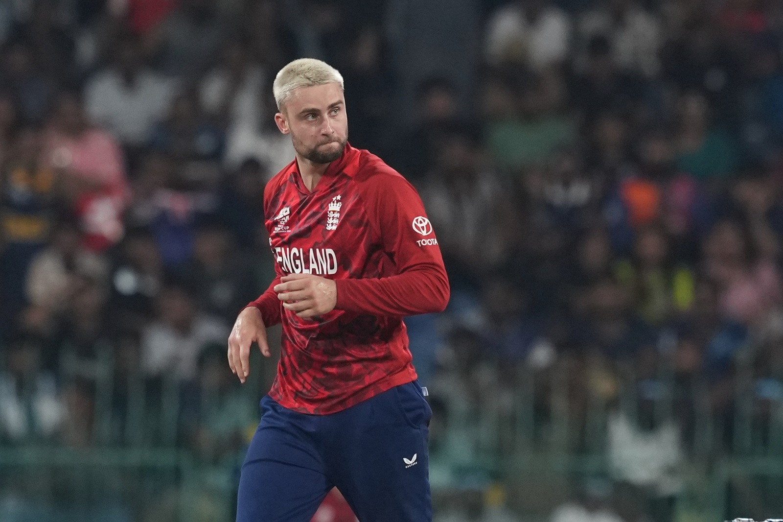 England's Will Jacks celebrates the wicket of New Zealand's Finn Allen. (AP Photo)